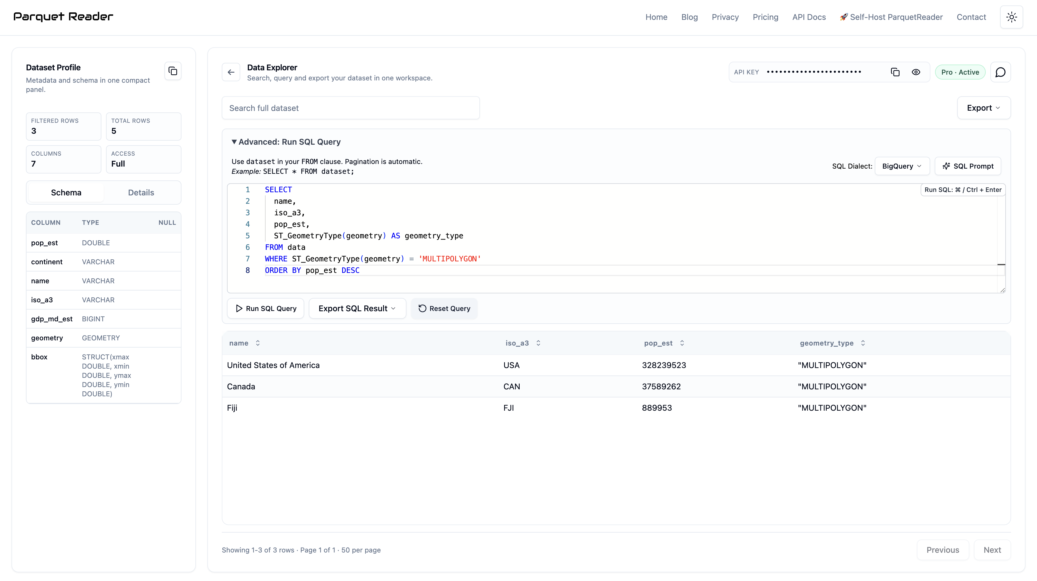 ParquetReader SQL editor showing a query on a geometry column in a GeoParquet file, returning geometry type counts per country