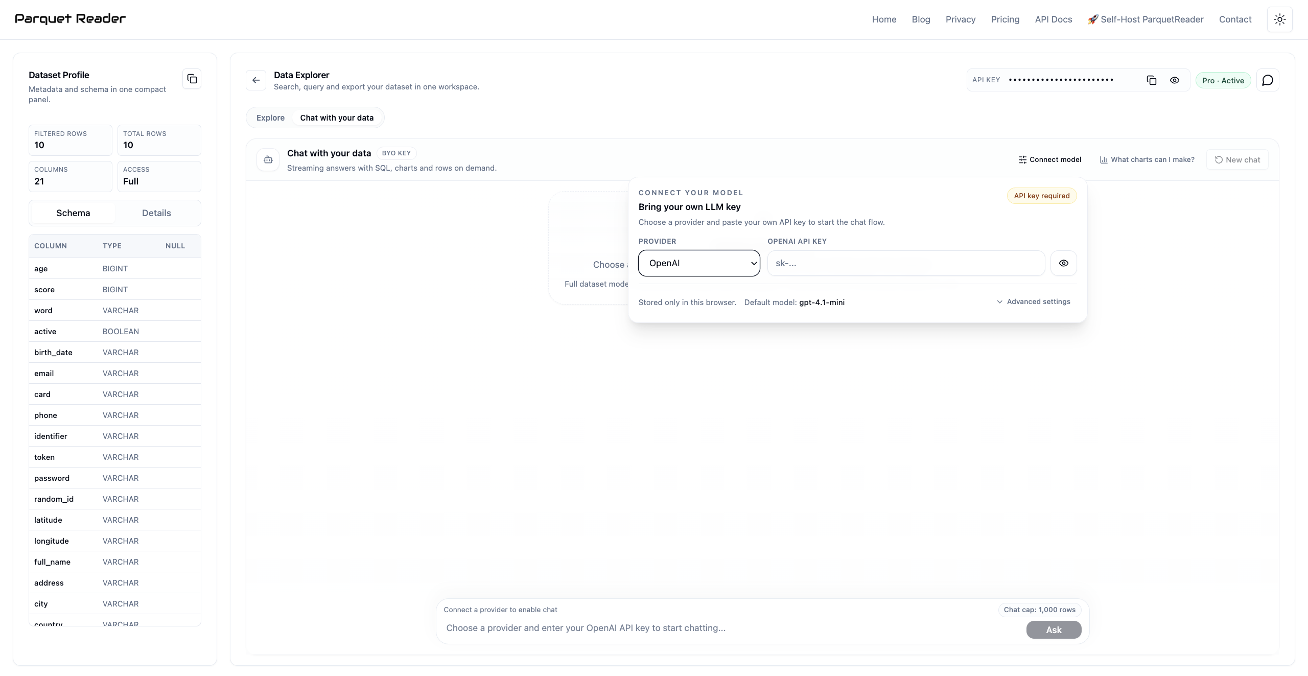 Chat with your data model setup in ParquetReader with provider selection and API key input.