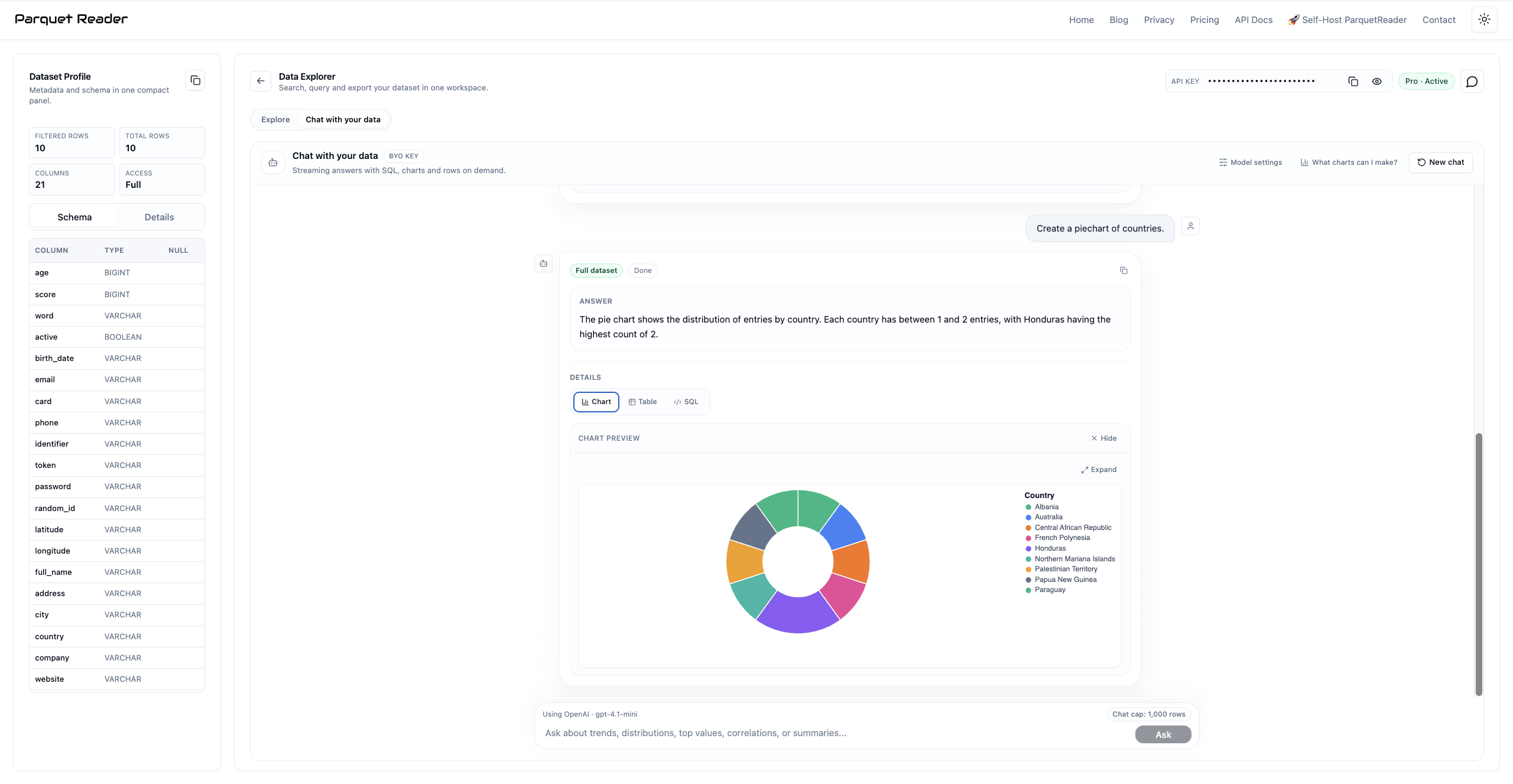 Chat with your data pie chart example showing country distribution in ParquetReader.