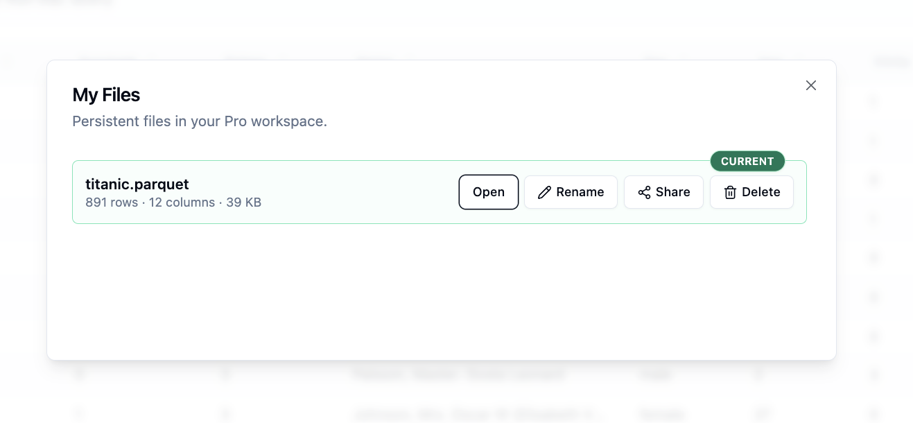 My Files overview in ParquetReader with a persistent file
